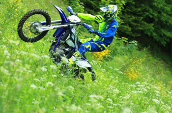 Sherco 250 SEF-R 2020 - Bild 2