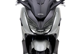 Honda Forza 350 2021 - Bild 16 Honda Forza 350 2021 - Bild 16