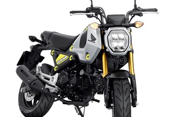 Honda MSX125 Grom 2021 - Bild 5