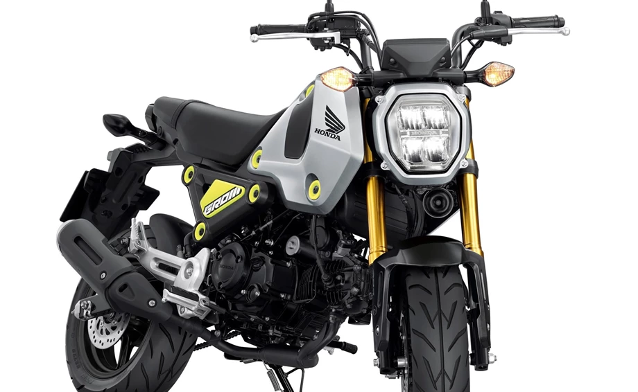 Honda MSX125 Grom Bild 4: Honda MSX125 Grom