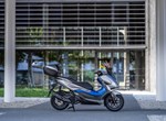 Honda Forza 125