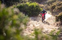 Honda CRF 450 RX 2021 - Bild 4