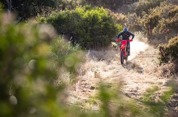 Honda CRF 450 RX 2021 - Bild 4