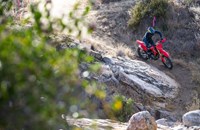 Honda CRF 450 RX 2021 - Bild 5