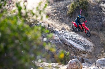 Honda CRF 450 RX 2021 - Bild 5