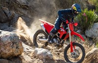 Honda CRF 450 RX 2021 - Bild 3