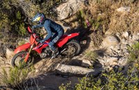 Honda CRF 450 RX 2021 - Bild 7