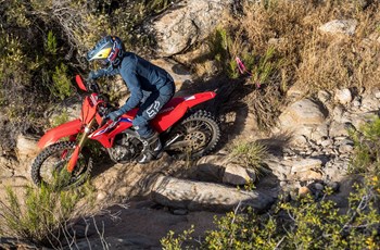 Honda CRF 450 RX 2021 - Bild 7