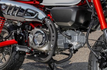 Honda Monkey 125 2021 - Bild 17