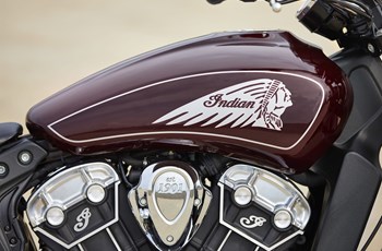 Indian Scout 2021 - Bild 7 Indian Scout 2021 - Bild 7