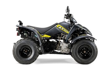 Kymco Maxxer S 300 T Onroad 2021 - Bild 2