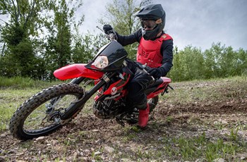Malaguti XTM 125 Enduro 2021 - Bild 3 Malaguti XTM 125 Enduro 2021 - Bild 3