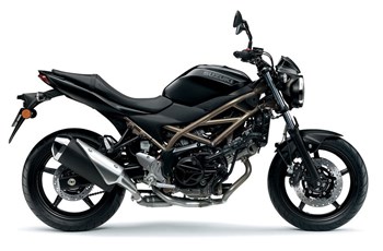 Suzuki SV650 2021 - Bild 4 Suzuki SV650 2021 - Bild 4