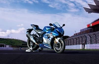 Suzuki GSX-R 1000 R 2021 - Bild 6 Suzuki GSX-R 1000 R 2021 - Bild 6