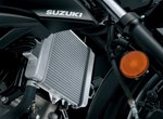 Suzuki GSX-S125
