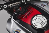 MV Agusta Dragster 800 RC SCS 2021 Bilder