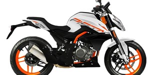 Online Pista 50 2021 vs Beeline Pista 50 2018