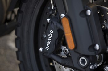 Triumph Tiger 1200 Desert Edition 2021 - Bild 10