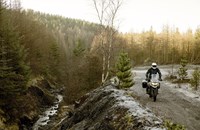 Triumph Tiger 1200 Desert Edition 2021 - Image 13