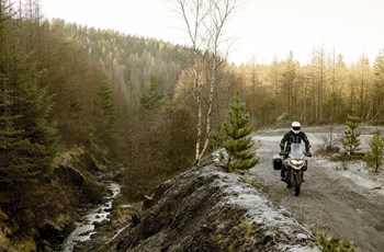 Triumph Tiger 1200 Desert Edition 2021 - Bild 13