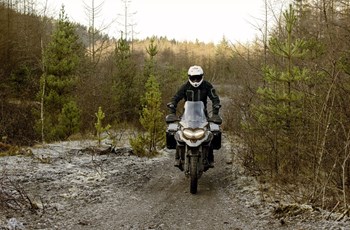 Triumph Tiger 1200 Desert Edition 2021 - Bild 23