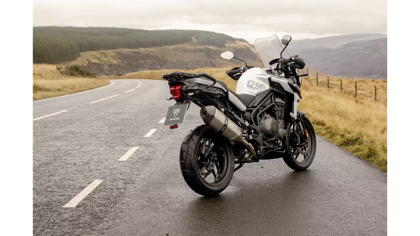 Alpine Tiger Triumph Tiger 1200 Alpine Edition - teknik veriler, fiyatlar, incelemeler