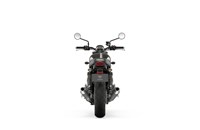Triumph Street Twin Gold Line Limited Edition 2021 - Bild 9