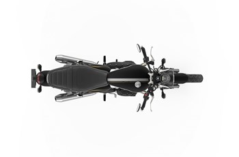 Triumph Street Twin Gold Line Limited Edition 2021 - Bild 11