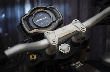 Triumph Scrambler 1200 Steve McQueen Edition 2021 - Bild 5