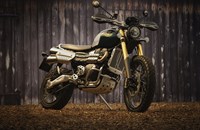 Triumph Scrambler 1200 Steve McQueen Edition 2021 - Bild 12