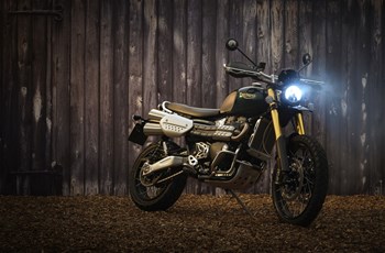 Triumph Scrambler 1200 Steve McQueen Edition 2021 - Bild 15