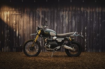 Triumph Scrambler 1200 Steve McQueen Edition 2021 - Bild 23