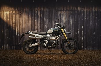 Triumph Scrambler 1200 Steve McQueen Edition 2021 - Bild 24