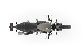 Triumph Street Scrambler Sandstorm Edition 2021 - Bild 4 Triumph Street Scrambler Sandstorm Edition 2021 - Bild 4