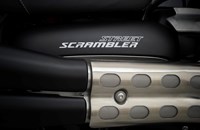 Triumph Street Scrambler Sandstorm Edition 2021 - Bild 7