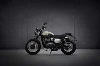 Triumph Street Scrambler Sandstorm Edition 2021 - Bild 10 Triumph Street Scrambler Sandstorm Edition 2021 - Bild 10