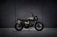 Triumph Street Scrambler Sandstorm Edition 2021 - Bild 14