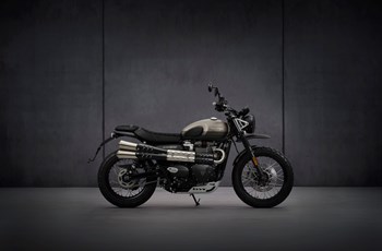 Triumph Street Scrambler Sandstorm Edition 2021 - Bild 14 Triumph Street Scrambler Sandstorm Edition 2021 - Bild 14