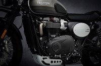 Triumph Street Scrambler Sandstorm Edition 2021 - Bild 18