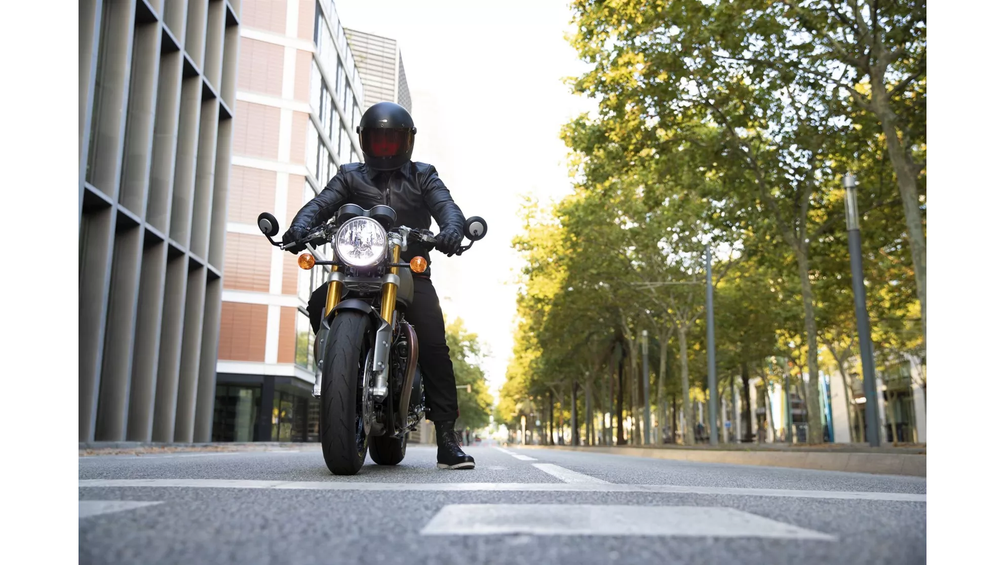 Triumph Thruxton RS - Image 16 Triumph Thruxton RS - Image 16