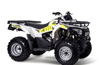 Access Shade 200 2021 - Bild 1