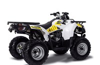 Access Shade 200 2021 - Bild 9