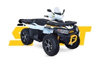 Access Shade Sport 850 Touring EPS 2021 - Bild 6