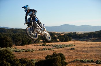 Yamaha YZ250F Monster Energy Edition 2021 - Bild 3