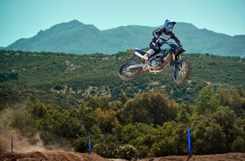 Yamaha YZ250F Monster Energy Edition 2021 - Bild 6