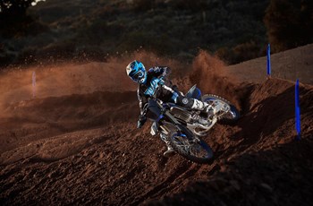 Yamaha YZ250F Monster Energy Edition 2021 - Bild 9