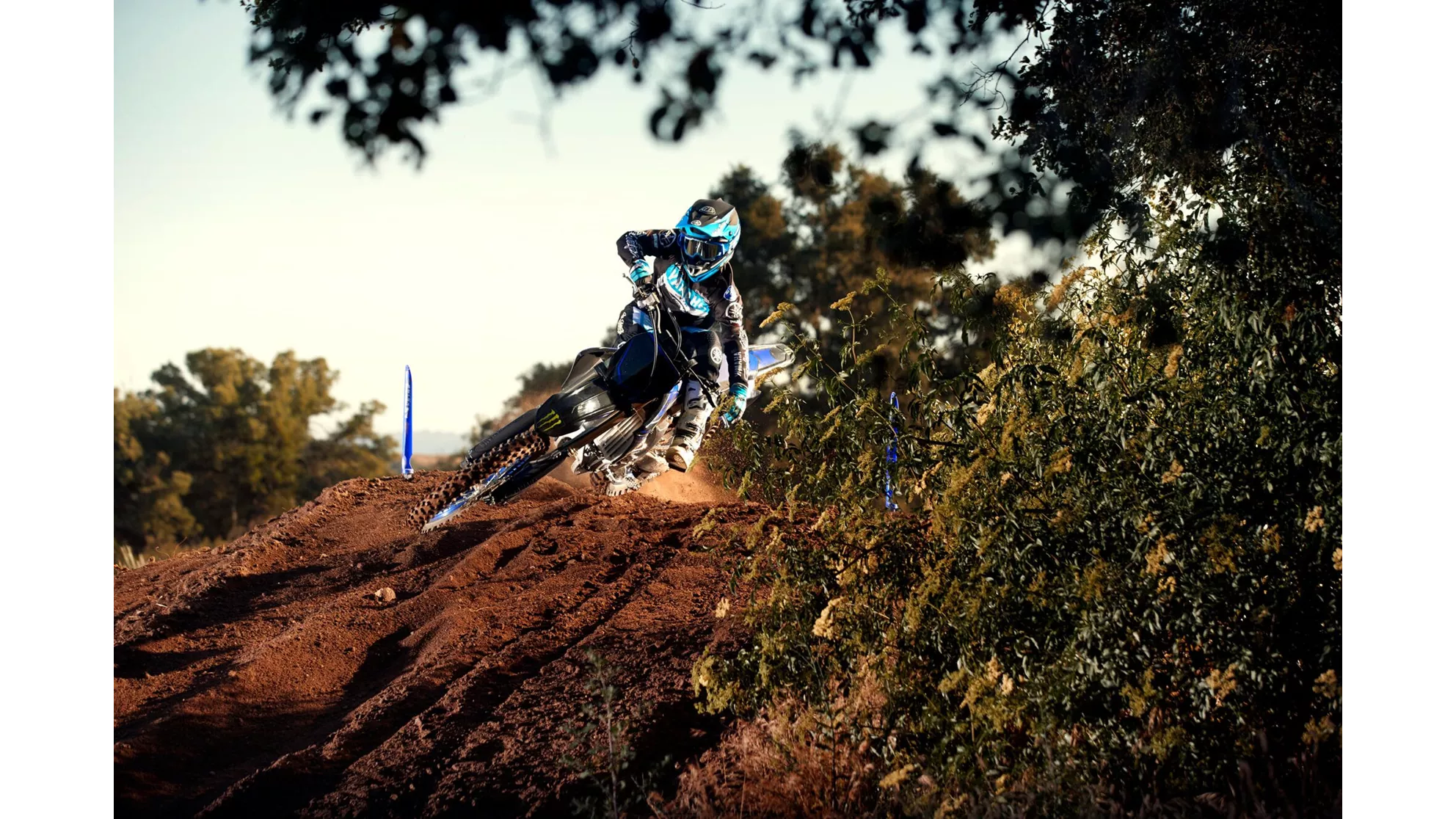 Yamaha YZ250F Monster Energy Edition - Image 10 Yamaha YZ250F Monster Energy Edition - Image 10