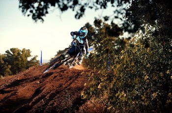 Yamaha YZ250F Monster Energy Edition 2021 - Bild 12