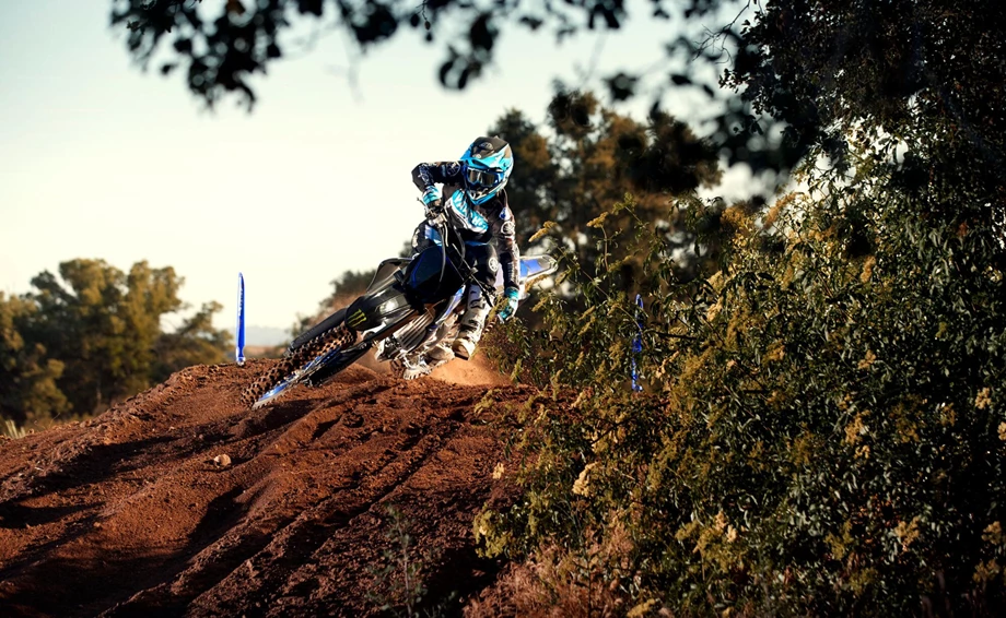 Yamaha YZ250F Monster Energy Edition Bild 11: Yamaha YZ250F Monster Energy Edition