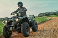 Yamaha Kodiak 450 EPS Diff Lock 2021 - Bild 4